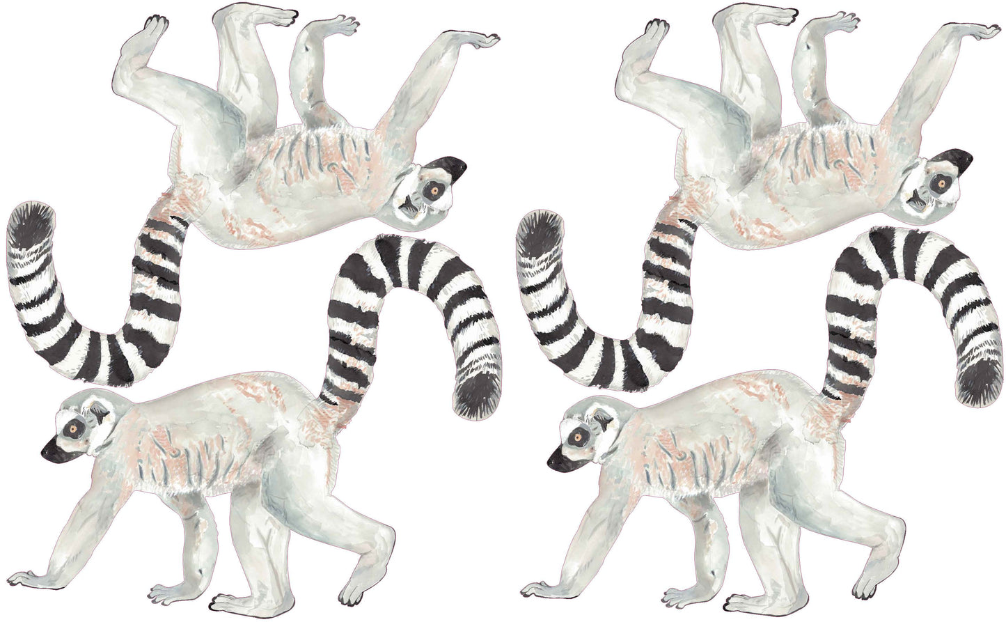 4 Lemur pack